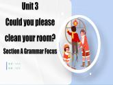 Unit 3 第3课时 (Section A Grammar Focus-4c)———(课件+教学设计）（人教新目标Go For It!）八年级英语下册
