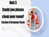 Unit 3 第3課時(shí) (Section A Grammar Focus-4c)———(課件+教學(xué)設(shè)計(jì)）（人教新目標(biāo)Go For It!）八年級英語下冊