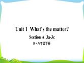 人教版八年级英语下册Unit1 A(3a-3c)课件+音频+导学案