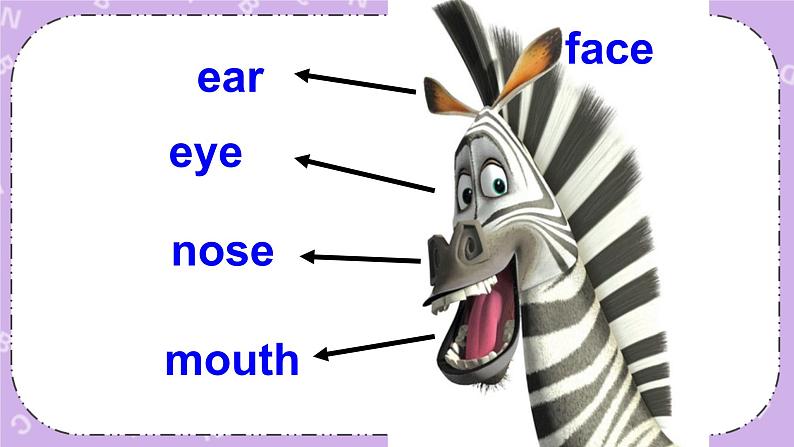 北师大版英语七下Unit 6《Lesson 17 Interesting Animals》第1课时 课件＋教案＋练习04