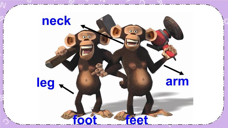 北师大版英语七下Unit 6《Lesson 17 Interesting Animals》第1课时 课件＋教案＋练习05