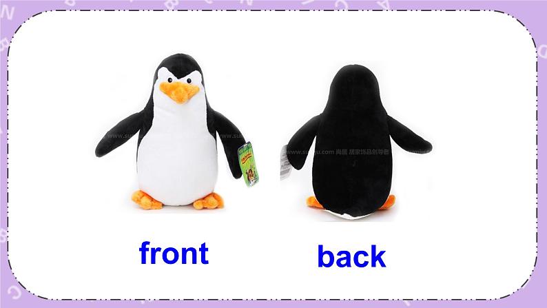 北师大版英语七下Unit 6《Lesson 17 Interesting Animals》第1课时 课件＋教案＋练习06