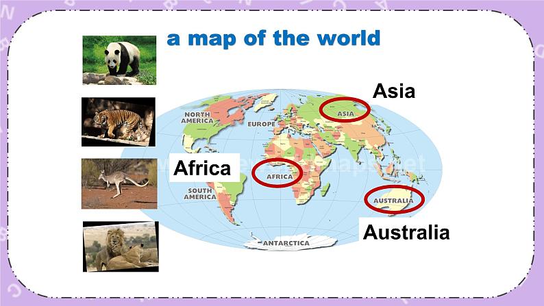 北师大版英语七下Unit 6《Lesson 18 An Animal Story》第1课时 课件＋教案＋练习03