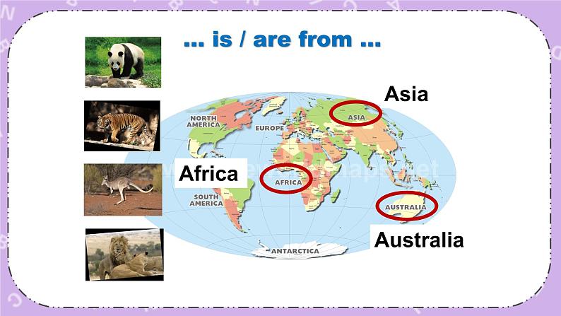 北师大版英语七下Unit 6《Lesson 18 An Animal Story》第1课时 课件＋教案＋练习04