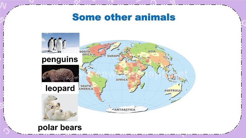 北师大版英语七下Unit 6《Lesson 18 An Animal Story》第1课时 课件＋教案＋练习05