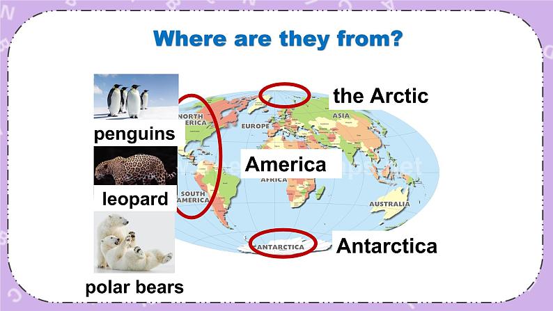 北师大版英语七下Unit 6《Lesson 18 An Animal Story》第1课时 课件＋教案＋练习06