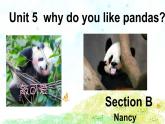 人教版 七下 Unit 5 Why do you like pandas?Section B PPT课件