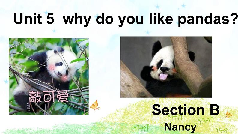 人教版 七下 Unit 5 Why do you like pandas?Section B PPT课件01