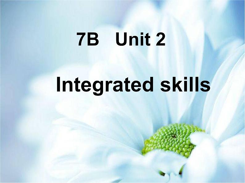 Unit2 Neighbours Integrated skills课件 2022-2023学年译林版英语七年级下册第1页