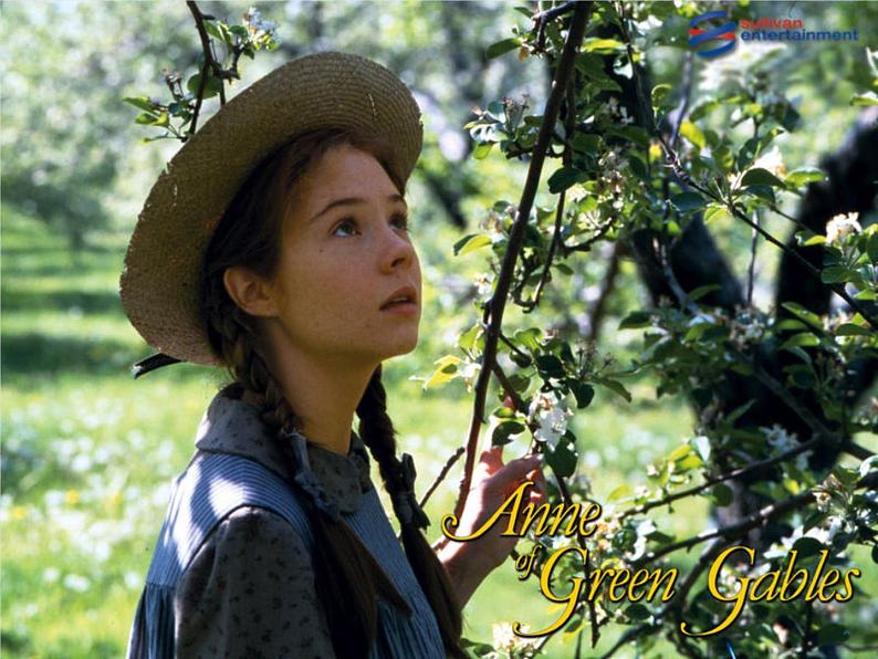 Unit 5 Literature《Lesson 13 Anne of Green Gables》课件+教案07