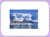 Unit 7 Journeys《Lesson 21 To the south pole 》课件+教案