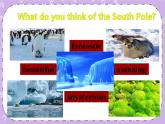 Unit 7 Journeys《Lesson 21 To the south pole 》课件+教案