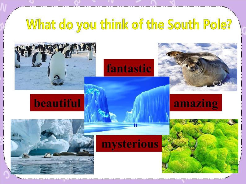 Unit 7 Journeys《Lesson 21 To the south pole 》课件第4页