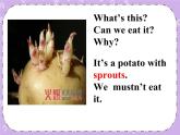 Unit 8 Discoveries《Lesson 24 An experiment report》课件+教案