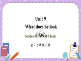 Unit 9 第5课时 ( B 3a-Self Check) 课件＋教案＋素材