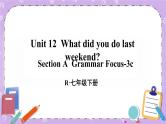 Unit 12 第2课时（A Grammar Focus-3c） 课件＋教案＋素材