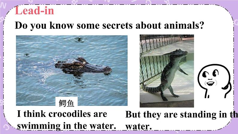 Unit 12 第4课时（B 2a-2c） 课件＋教案＋素材03