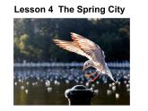 初中英语冀教版八年级下Unit1 Lesson4 The Spring City课件PPT