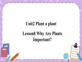 Unit 2 Lesson8 Why Are Plants Important 课件+教案