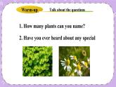 Unit 2 Lesson11 Amazing Plants 课件+教案