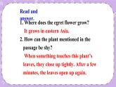 Unit 2 Lesson11 Amazing Plants 课件+教案