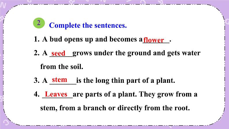 Unit 2 Lesson12 Danny’s Plant 课件第7页