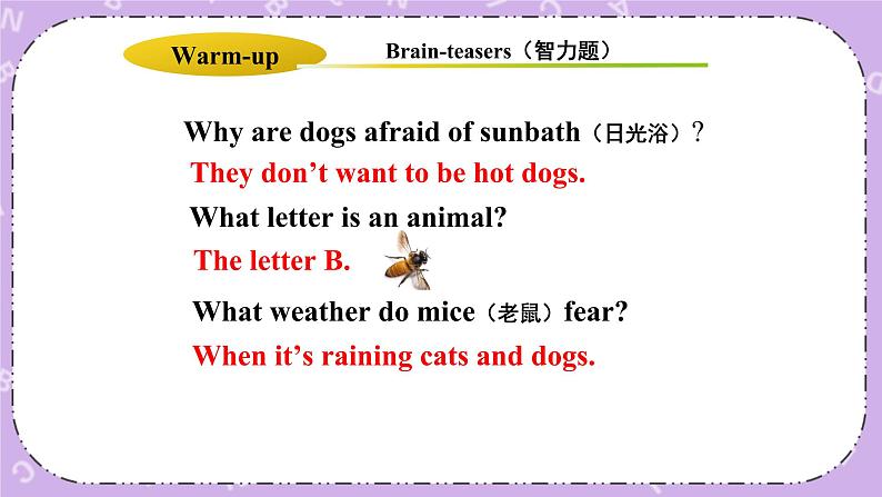 Unit 3 Lesson14 Amazing Animals 课件第3页