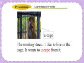 Unit 3 Lesson16 The Bear Escaped 课件+教案