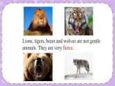 Unit 3 Lesson16 The Bear Escaped 课件+教案