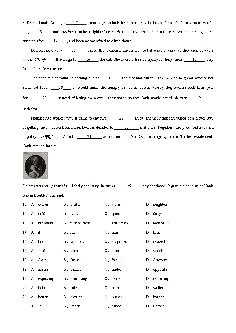 专题10 居住环境-备战中考英语完形填空热点话题分类训练（中考模拟真题+名校最新真题）02