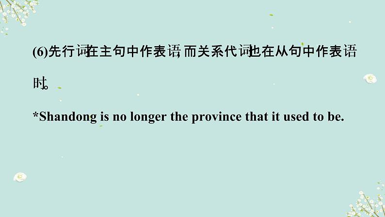 【中考二轮复习】2023年英语高频考点汇编——专题10 定语从句  课件(共41张PPT)05