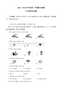 江苏省徐州市2022-2023学年九年级上学期期末英语试题（含答案）