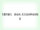 外研版中考英语复习专题突破九助动词、实义动词和动词短语作业课件