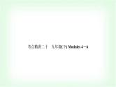 外研版中考英语复习考点精讲二十九年级(下)Modules 4－6基础检测课件