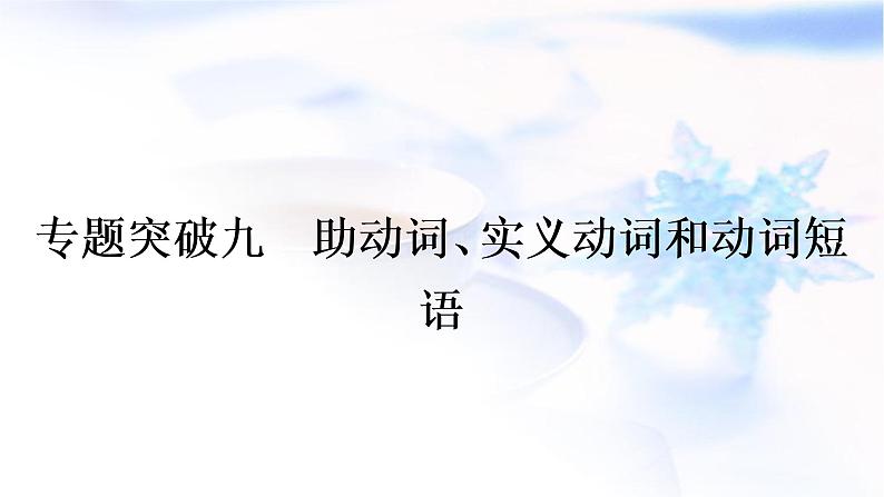 译林版中考英语复习专题突破九助动词、实义动词和动词短语教学课件第1页