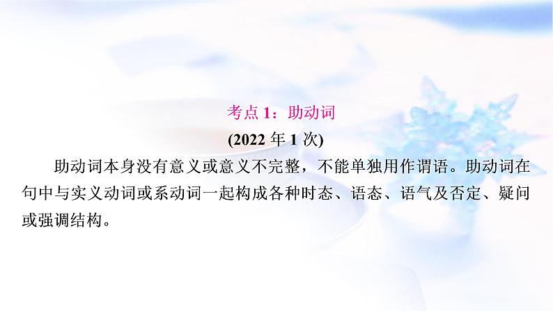 译林版中考英语复习专题突破九助动词、实义动词和动词短语教学课件第3页