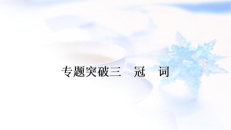 译林版中考英语复习专题突破三冠词作业课件第1页