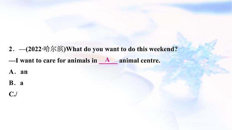 译林版中考英语复习专题突破三冠词作业课件第3页