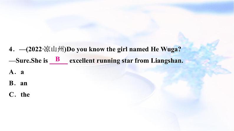 译林版中考英语复习专题突破三冠词作业课件第5页