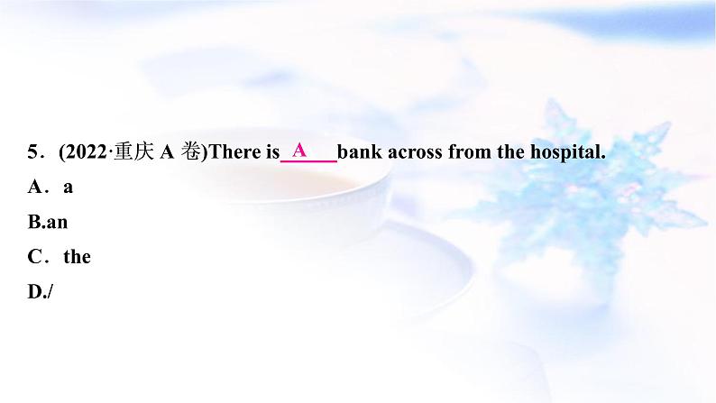 译林版中考英语复习专题突破三冠词作业课件第6页