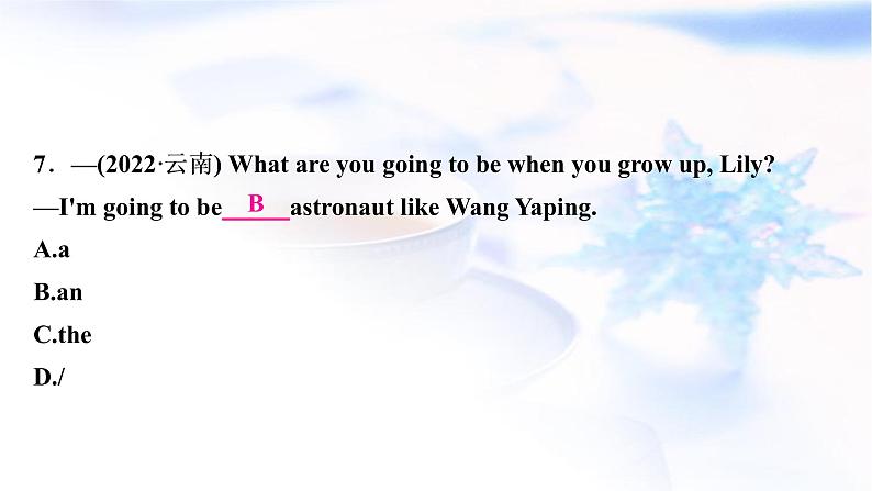 译林版中考英语复习专题突破三冠词作业课件第8页