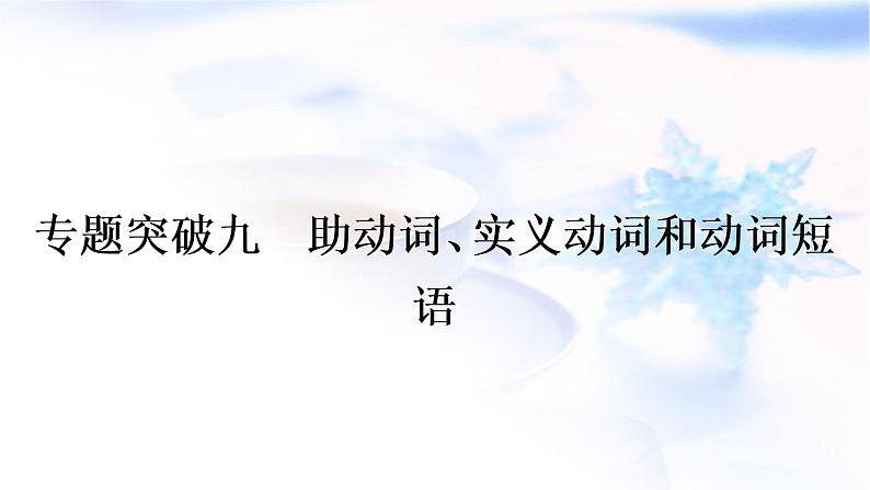 译林版中考英语复习专题突破九助动词、实义动词和动词短语作业课件01