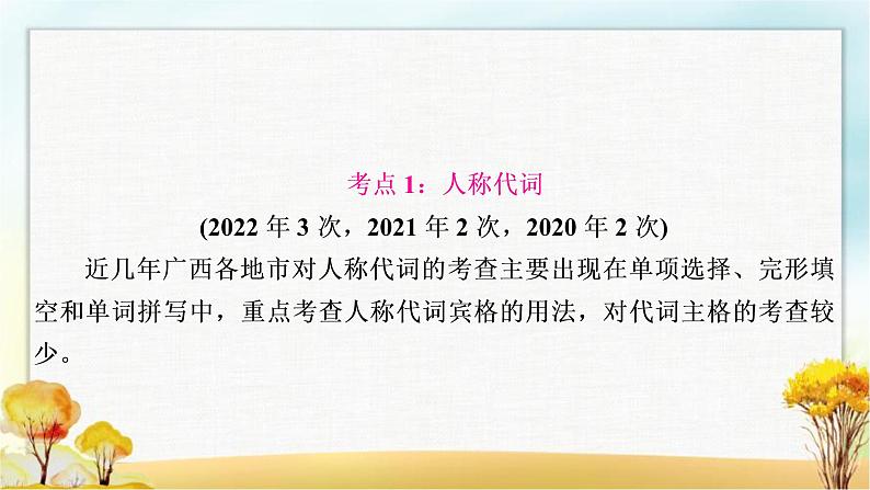 人教版中考英语复习专题突破二代词教学课件03