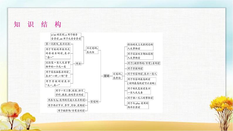 人教版中考英语复习专题突破三冠词教学课件02