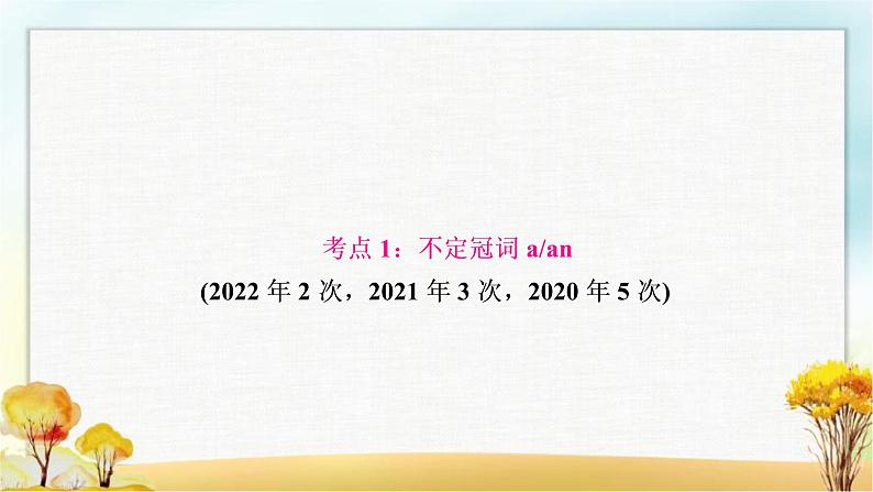 人教版中考英语复习专题突破三冠词教学课件03