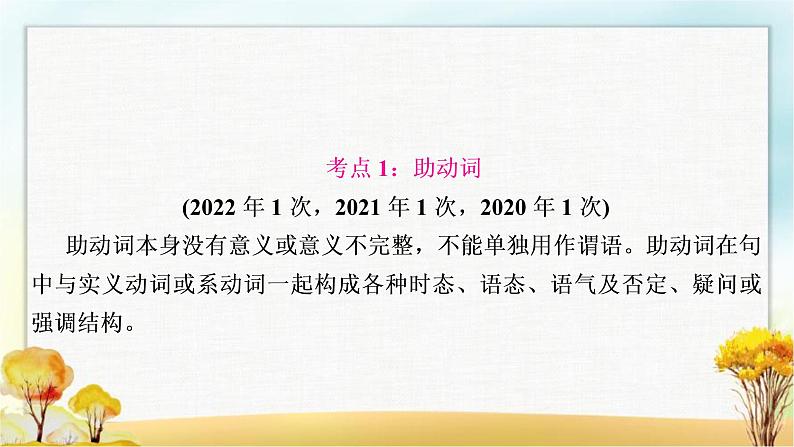 人教版中考英语复习专题突破九助动词、实义动词和动词短语教学课件03