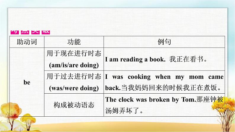 人教版中考英语复习专题突破九助动词、实义动词和动词短语教学课件04