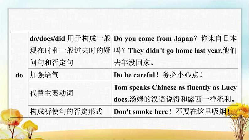 人教版中考英语复习专题突破九助动词、实义动词和动词短语教学课件05