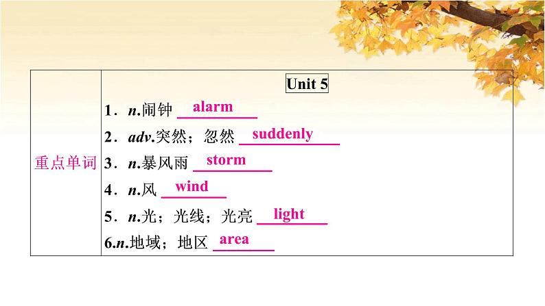 人教版中考英语复习考点精讲十三八年级（下)Units5-6基础检测课件02