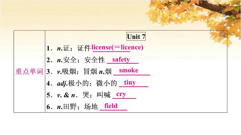 人教版中考英语复习考点精讲十九九年级Units7-8基础检测课件02